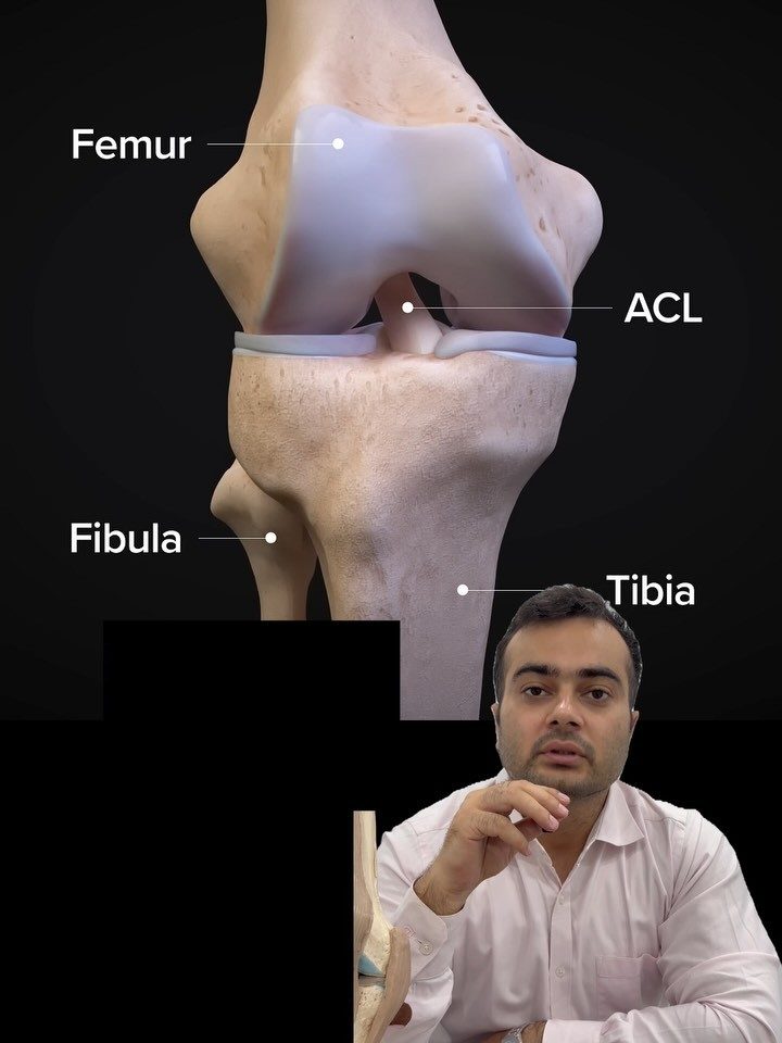 Reel cover: Dr. Ishan Khanna explaining the anatomy of the knee and the ACL